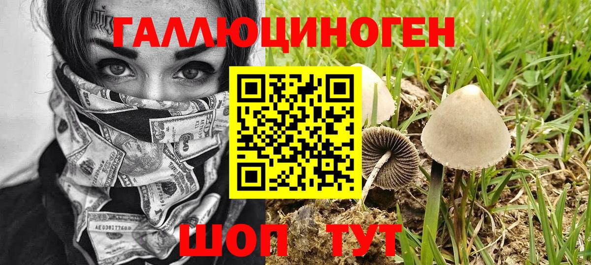 Псилоцибиновые грибы мицелий Тавда